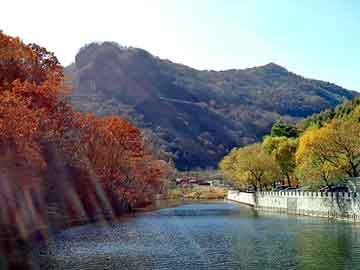 管家婆黑白马报图库，瓯海农村合作银行